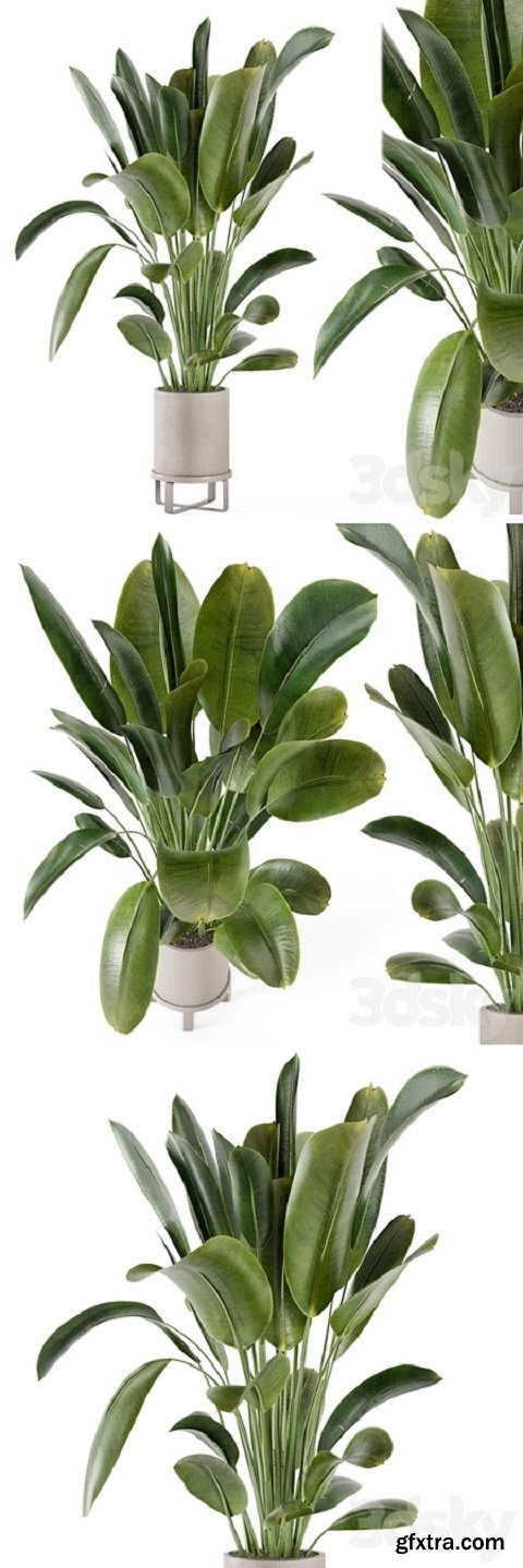 Indoor Plants in Ferm Living Bau Pot Large – Set 378