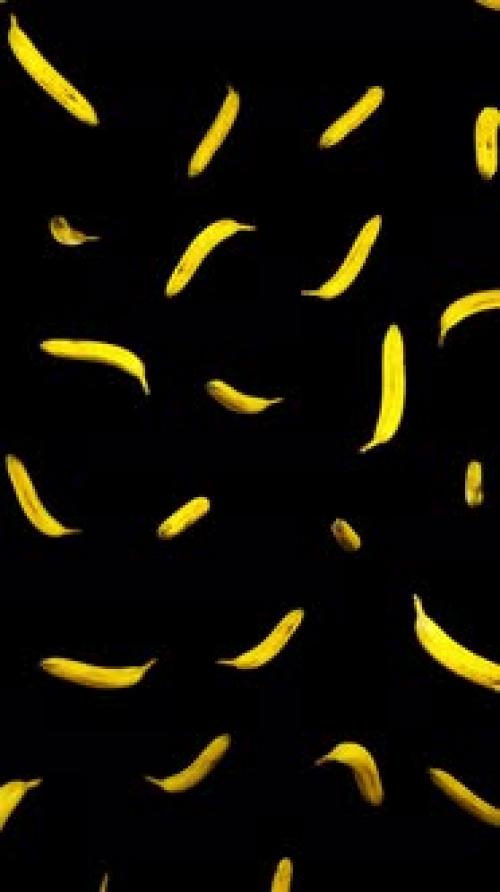Videohive - Vertical Falling Bananas on Alpha - 42509261
