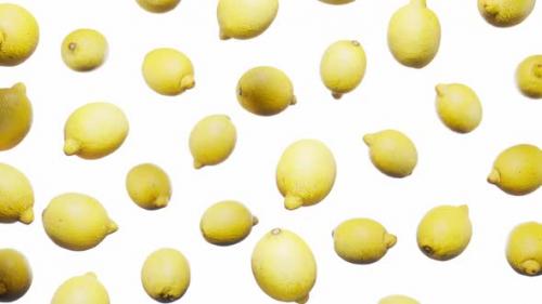 Videohive - Seamless Floating Lemons on White - 42509277