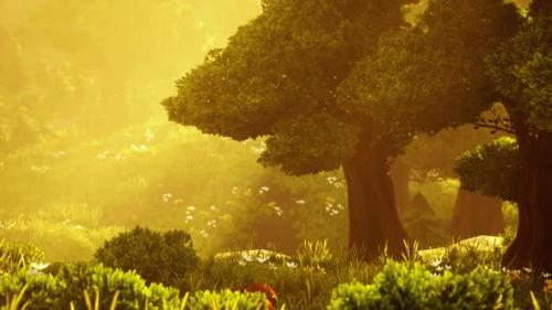 Videohive - Cartoon Flowering Green Forest on Sunset - 42570083