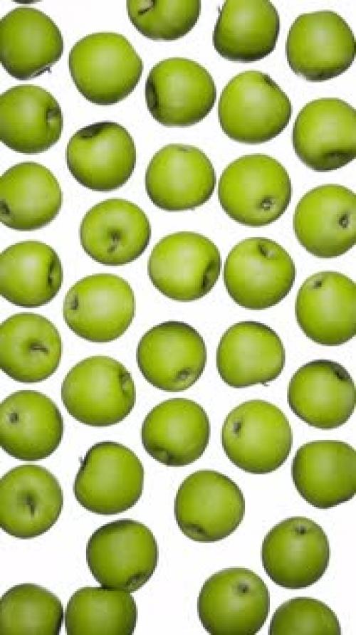 Videohive - Vertical Falling Green Apples on White - 42509328