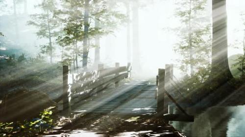 Videohive - Suspended Wooden Bridge Crossing the River to Foggy Mysterious Forest - 42558682