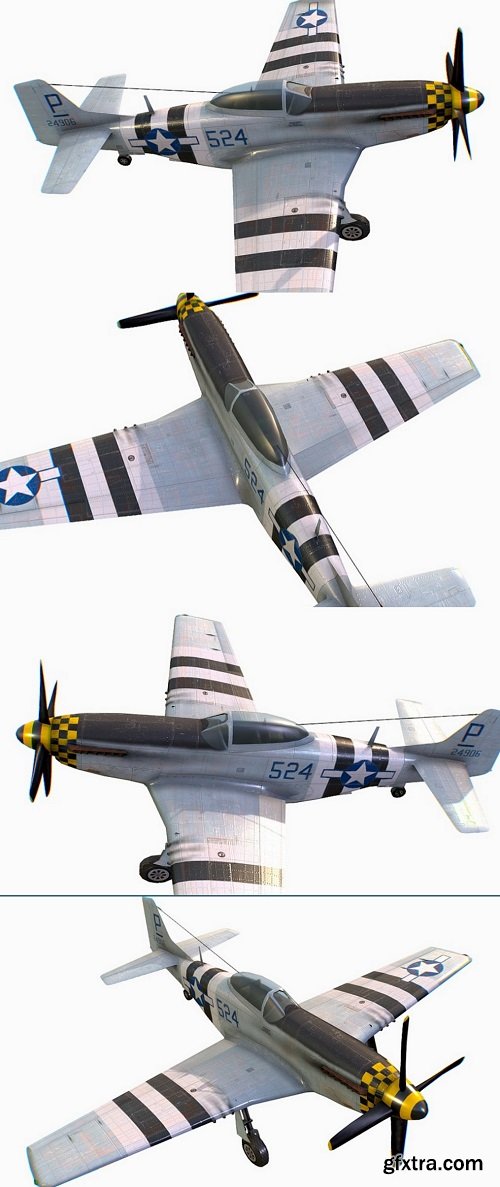 United States American fighter Mustang P-51D-5 3D Model