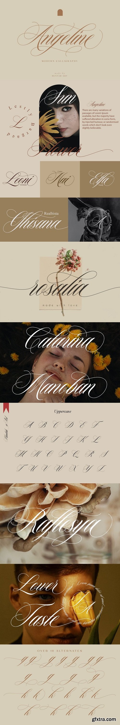 Angeline | Modern Calligraphy
