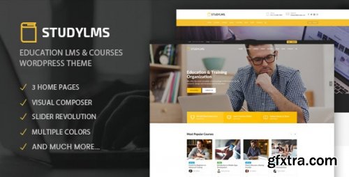 Themeforest - Studylms - Education LMS & Courses WordPress Theme v1.25 - 20192990 - Nulled