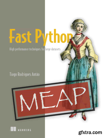 Fast Python for Data Science High performance techniques for large datasets (MEAP V10)