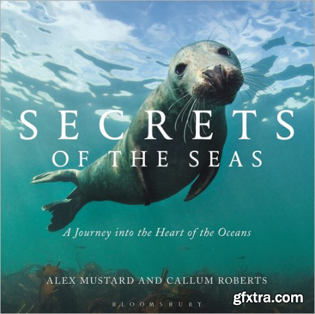Secrets of the Seas A Journey into the Heart of the Oceans