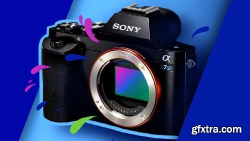 Photography for Beginners : Take Better Photos Today!