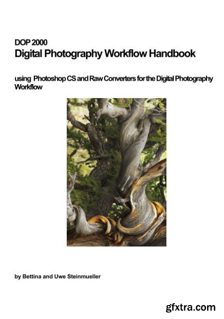 Digital Photography Workflow Handbook using Photoshop CS and Raw Converters for the Digital Photography Workflow
