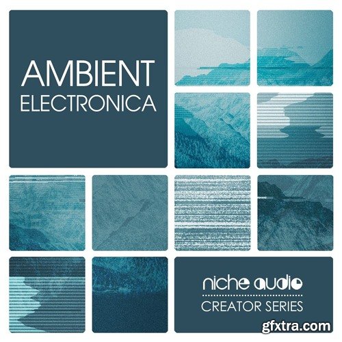 Niche Audio Ambient Electronica for Maschine