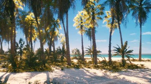 Videohive - Tropical Paradise with White Sand and Palm Trees - 42950779
