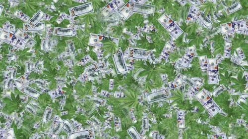 Videohive - Cannabis And Dollars - 42965083