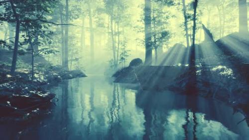 Videohive - Dark Pond in Mysterious Forest - 43022084