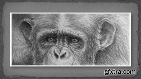 Drawing From Photographs - Grid Drawing Method Made Simple!