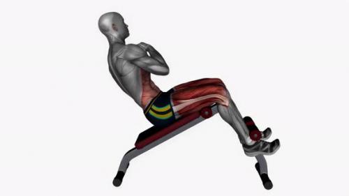 Videohive - Decline Bench Oblique Crunches Bodyweight fitness exercise workout animation video male muscle highl - 43015172