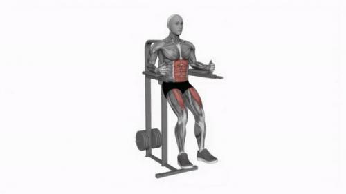 Videohive - Captains Chair Leg Raise fitness exercise workout animation video male muscle highlight 4K 60 fps - 43015243
