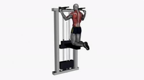 Videohive - Assisted Pull Up Wide Grip fitness exercise workout animation video male muscle highlight 4K 60 fps - 43015905