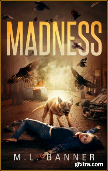Madness by M L Banner