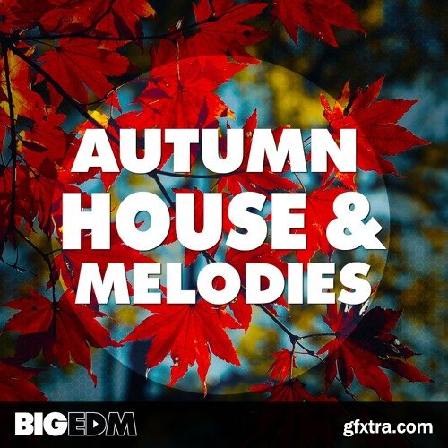 Big EDM Autumn House and Melodies