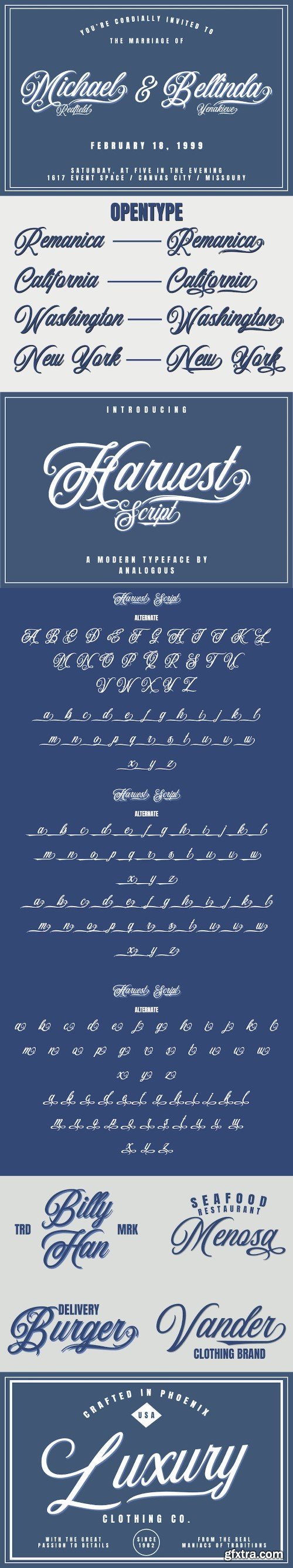 Harvest Script |Calligraphy Typeface