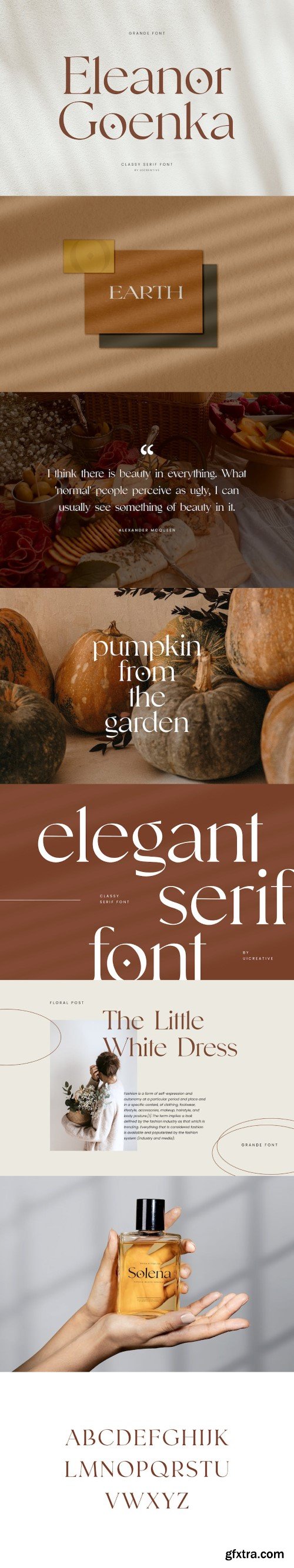 Eleanor Goenka Classic Serif Font