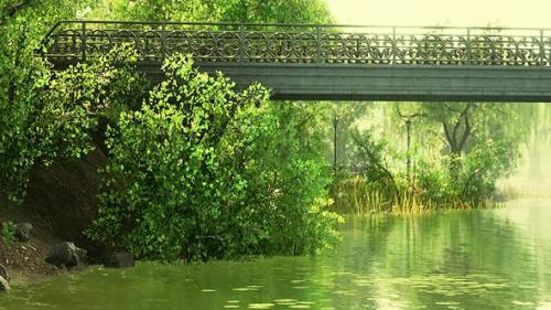 Videohive - Summer Green Forest Pond Landscape - 43264180