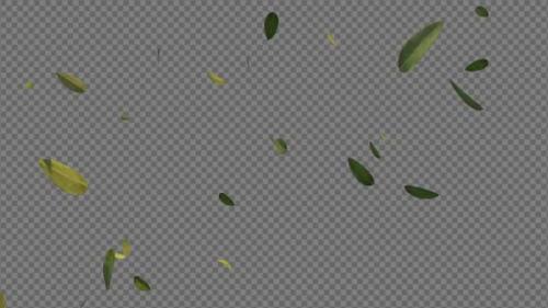 Videohive - Green Leaves Falling 4k - 43203581
