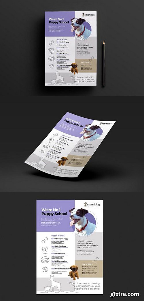 A4 Puppy School Poster Template v2