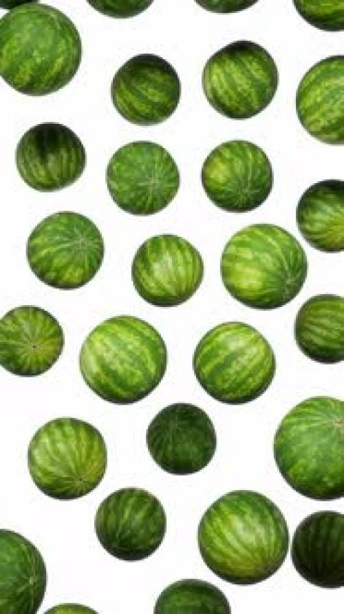 Videohive - Vertical Floating Watermelons on White - 43283879