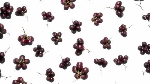 Videohive - Seamless Floating Red Grapess on White - 43283902