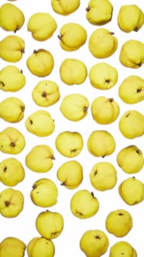 Videohive - Vertical Falling Quinces on White - 43283912