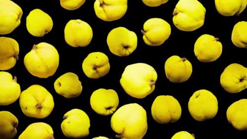 Videohive - Seamless Floating Quinces on Alpha - 43283924