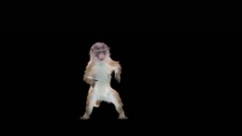 Videohive - 53 Monkey Dance HD - 43346066