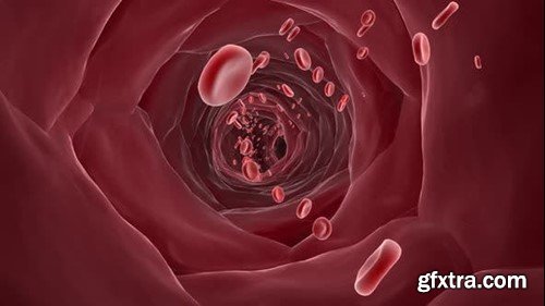 Videohive The Blood 43159031