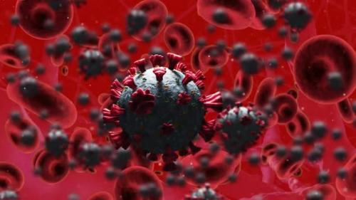 Videohive - Animation of covid 19 and red blood cells floating over red background - 43356085