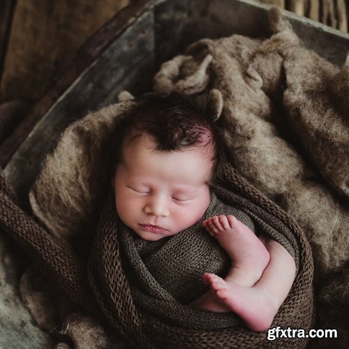 Twig & Olive Photography - Newborn Straightjacket Pose