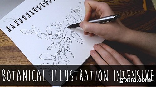 Botanical Illustration Intensive: Draw Plants with Science and Style