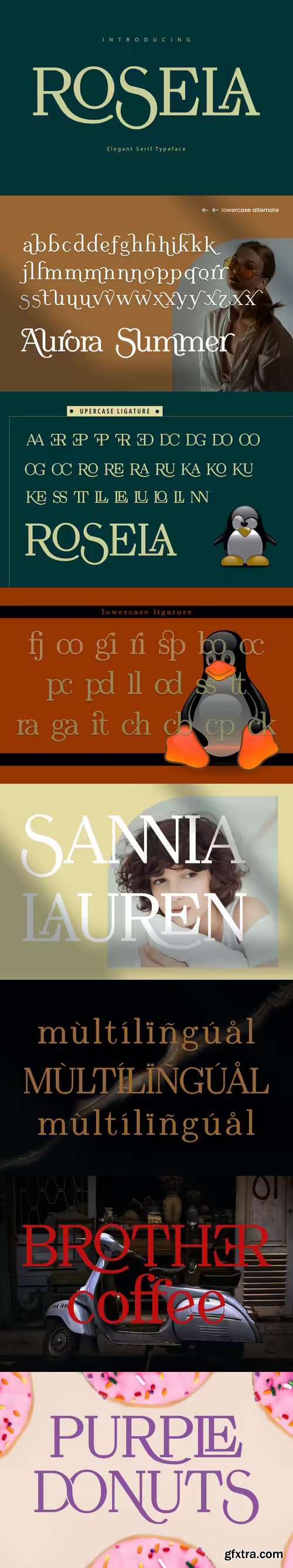 Rosela Elegant Serif Typeface