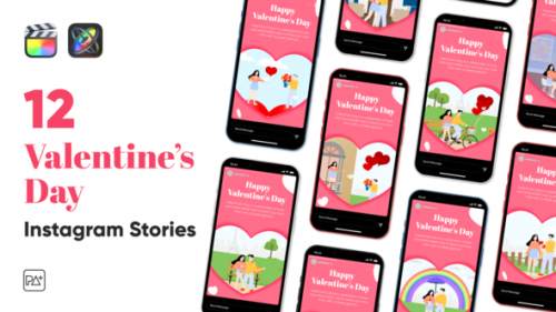 Videohive - Valentines Day Instagram Stories for Final Cut Pro X - 43429431