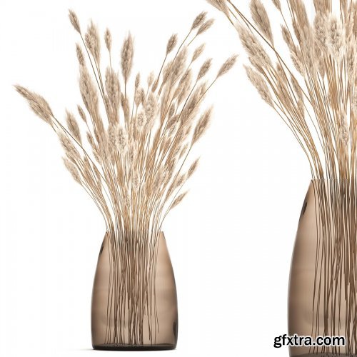 Bouquet Of Dried White Reeds In A Vase 149