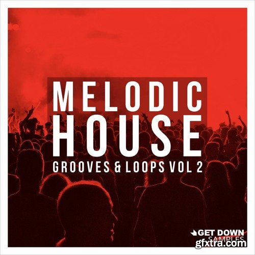 Get Down Samples Melodic House Grooves & Loops Vol 2
