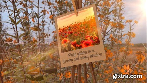 Videohive Photo Gallery in a flowery and sunny meadow 43510481