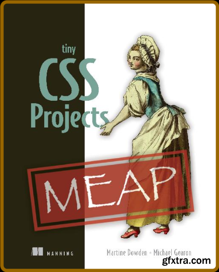 iny CSS Projects (MEAP V10)
