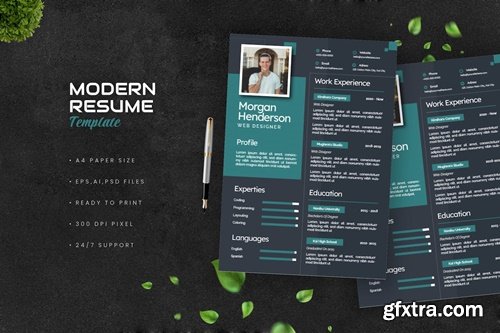 Modern Resume BWG4E8K