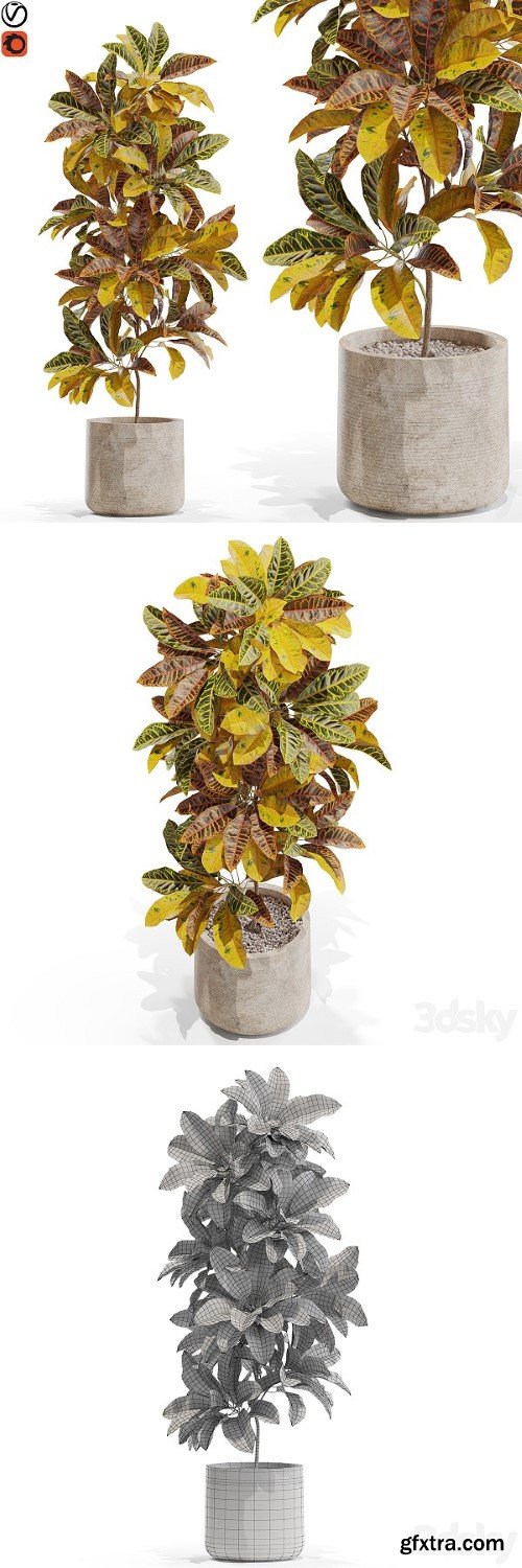 Plants Collection 557 | Vray+Corona