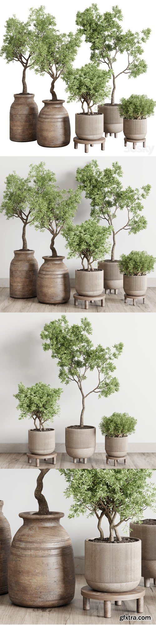 Wood collection indoor outdoor plant 141 | Vray