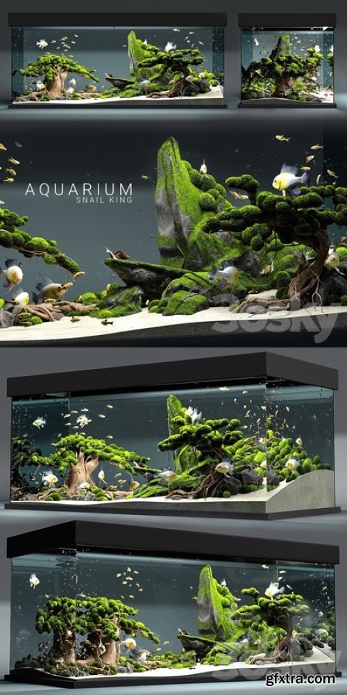 Aquarium snail king | Vray+Corona