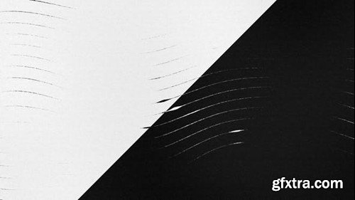 Videohive Fluid Lines Logo Reveal 44029589