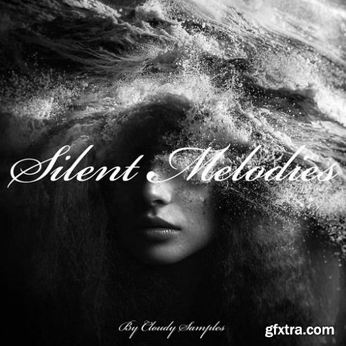 Rightsify Silent Melodies