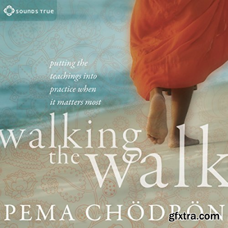 Walking the Walk Putting the Teachings into Practice When It Matters Most [Audiobook]